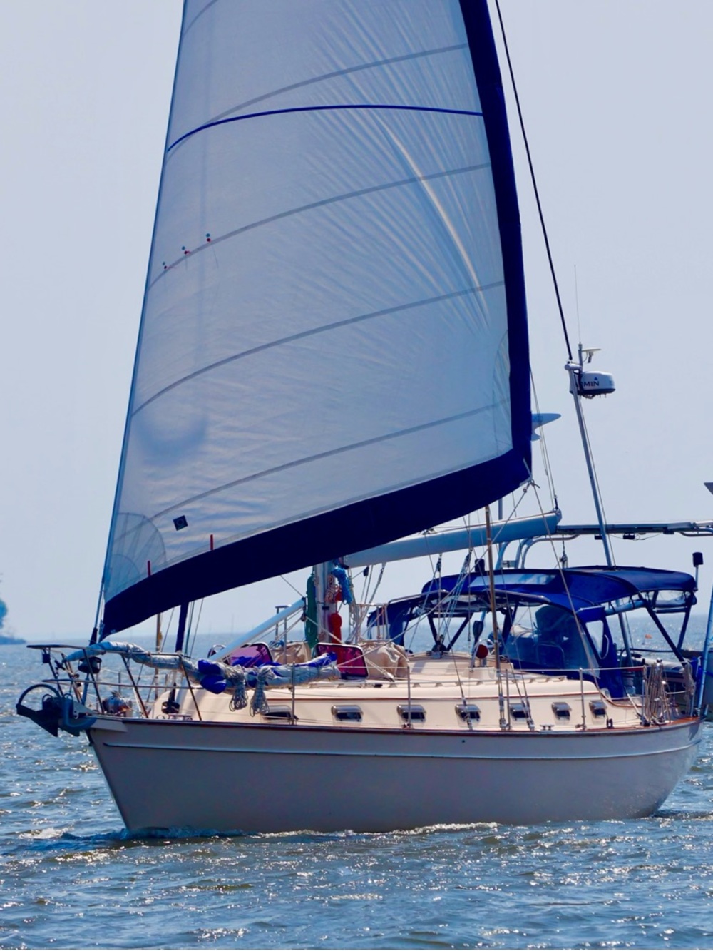 Meet your Posher, Carey